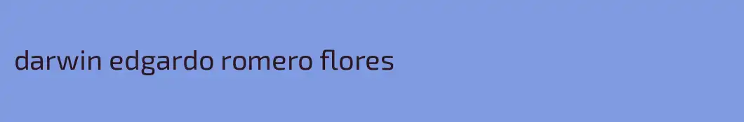 darwin edgardo romero flores